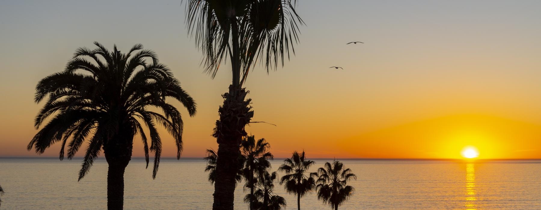 a sunset over a beach